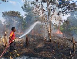 Bupati Safaruddin: Upaya Antisipasi Kebakaran Hutan dan Lahan Merupakan Tanggung Jawab Bersama