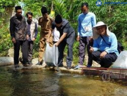 Tingkatkan Protein & Ekonomi, Bupati Sijunjung Tebar 10 Ribu Bibit Ikan Nila di Aliran Batang Sumpur