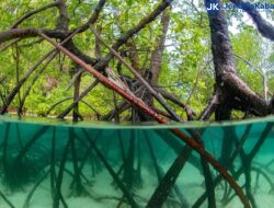 Successful Consultation and Dissemination Workshop on Community-Based Plastic Waste Management in Mangrove Ecosystems in Indonesia