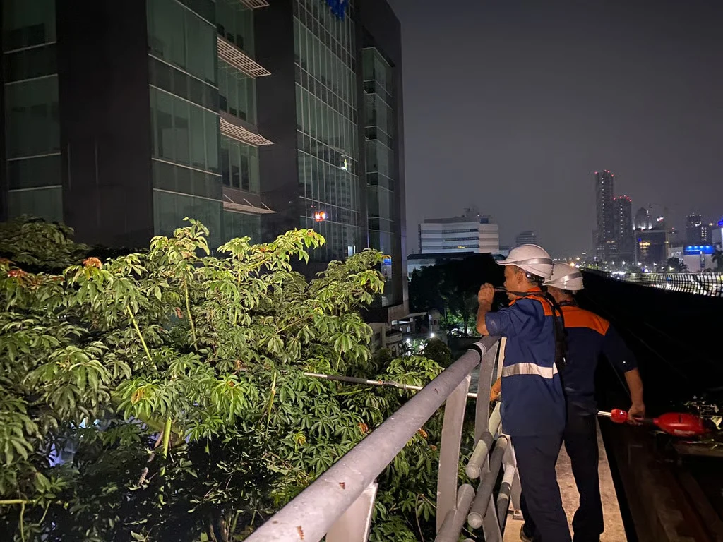 KAI Perkuat Keamanan Operasional LRT Jabodebek Lewat Perawatan Pepohonan di Sepanjang Jalur