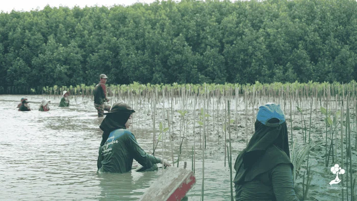 LindungiHutan Dorong Aksi Komunitas di Pantai Bahagia, Bekasi