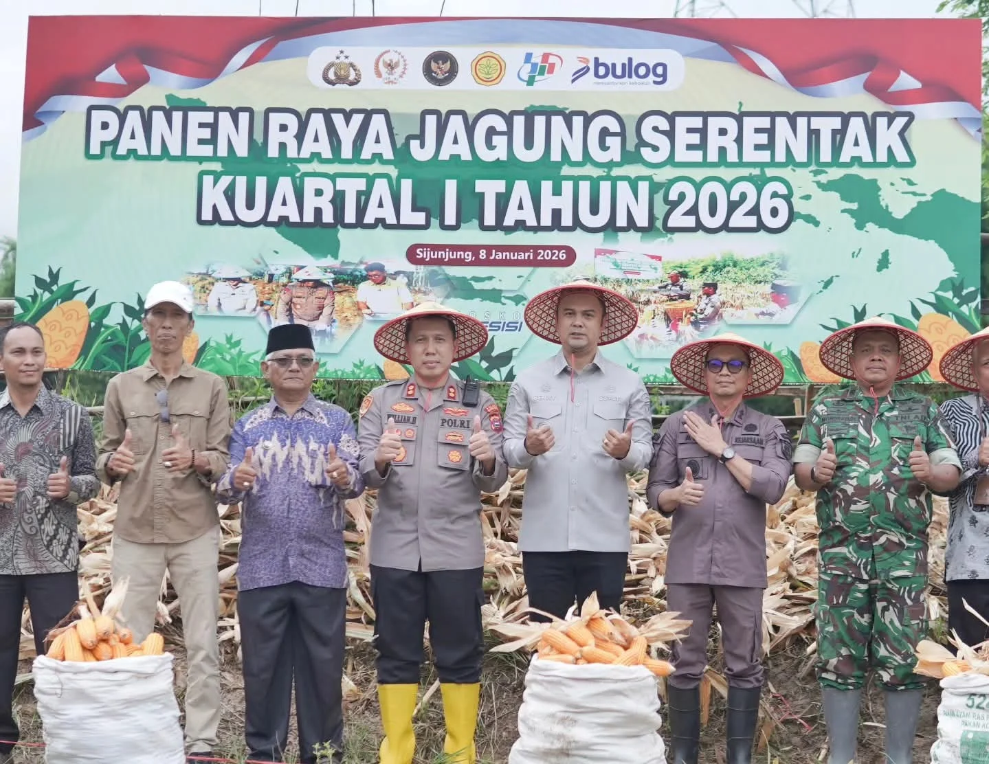 Kapolres Sijunjung Bersama Forkopimda Panen Raya Dalam Penguatan Swasembada Pangan