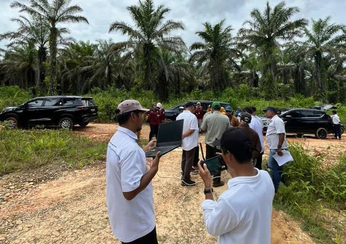Hilirisasi Pangan Nasional, Holding Perkebunan Nusantara Melalui PalmCo Siapkan Lahan Peternakan Ayam Terintegrasi