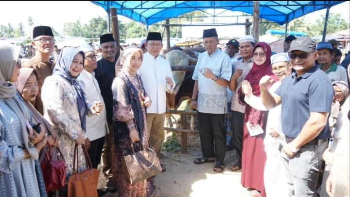 Pemko Payakumbuh Sembelih Sapi Kurban Bantuan Presiden Prabowo Berbobot 1,2 Ton