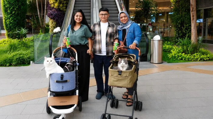 Main Bareng Anabul Di Grand Galaxy Park yang Cat Friendly