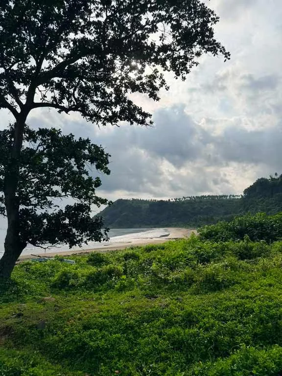 Lampung Selatan Jadi Lokasi Relawan Bakti BUMN 2026, PTPN Group dan InJourney Group Siap Bersinergi
