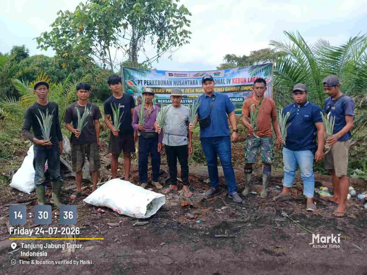 PTPN IV PalmCo Salurkan Bibit Nanas untuk Tingkatkan Ekonomi Warga Jambi